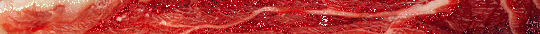 raw meat divider 4